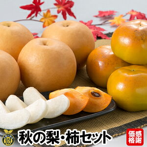 秋の梨・柿セット【送料無料】感謝価格 熊本県 梨 太秋柿