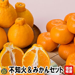 y12{蔭Jnzsm΁݂ZbgyzӉi@F{Y@sm΁@