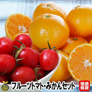 t[cg}g݂ZbgyzӉi@F{Y@g}g@݂