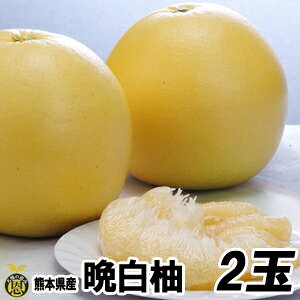 y12{JnzӔM2ʁyzF{Y@傫@k@΂؂@@Mtg