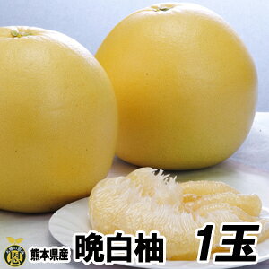 y12{JnzӔM1ʁyzF{Y@傫@k@΂؂@@Mtg