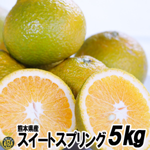 スイートスプリング　5kg【送料無料】熊本県産 　柑橘
