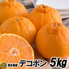 デコポン5kg（15玉〜24玉）【送料無料】熊本県産