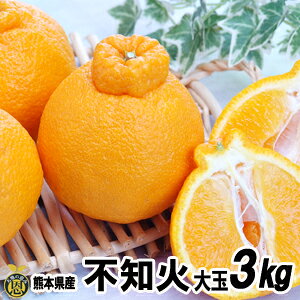 y12{蔭Jnzsm3kgʁi6`9jyzF{Y@sm΁@ʂ@k@ Mtg