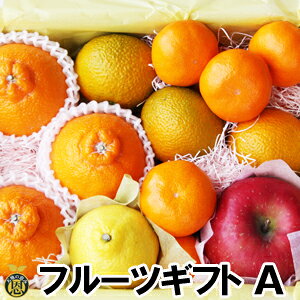 y12{蔭Jnzt[cMtgiAjyzΕMtg@ʕ@l@