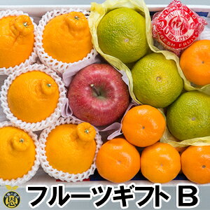 y12{蔭Jnzt[cMtgiBjyzΕMtg@ʕ@l@