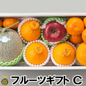 y12{蔭Jnzt[cMtgiCjyzΕMtg@ʕ@l@