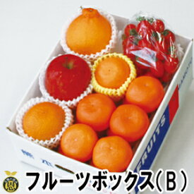 【12月中旬頃より発送開始】フルーツボックス　B　フルーツトマト【送料無料】少量おためしセット　お歳暮ギフト　果物　詰合せ　贈答