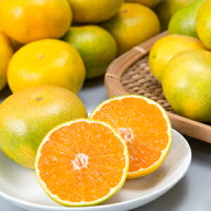 ハウスミカン　2.3kg【送料無料】熊本県　温室　みかん