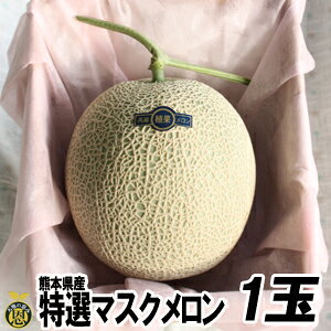 I}XN1ʁyzF{@@i@Mtg@Ε