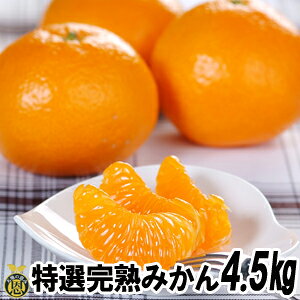 In݂@4.5kgyzF{Y@Â@@p@ΕMtg