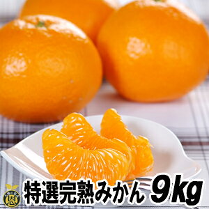 In݂@9kgyzF{Y@Â@@p@ΕMtg