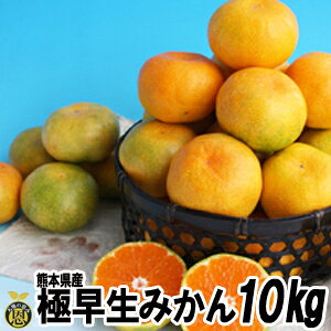 ɑ݂10kgyzF{@