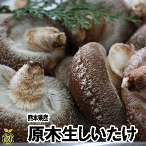 @800gyzF{Y@؍͔|@ő@@Mtg