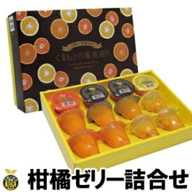 柑橘ゼリー詰合せ（くまもとの果実巡り）12個入【送料無料】