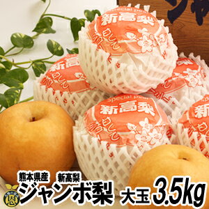 W{iVj3.5kg@4-5ʁyzF{@傫@@p@Mtg