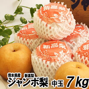 W{iVj7kg@11-13ʁyzF{@傫@@p@Mtg