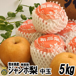 W{iVj5kg@8-10ʁyzF{@傫@@p@Mtg