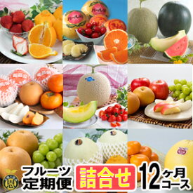 フルーツ定期便・詰合せ　12ヶ月コース【送料無料】熊本県産　果物　毎月お届けギフト