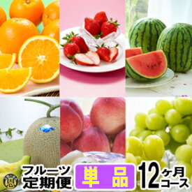 フルーツ定期便・単品　12ヶ月コース【送料無料】熊本県産　果物　毎月お届けギフト