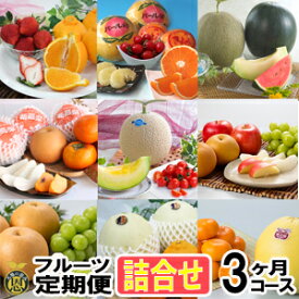 フルーツ定期便・詰合せ　3ヶ月コース【送料無料】熊本県産　果物　毎月お届けギフト