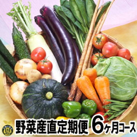 野菜産直定期便(6ヶ月コース)【送料無料】毎月届く　熊本　新鮮野菜