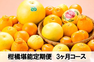 k\ց@3R[XyzF{Y@ʕ@͂Mtg