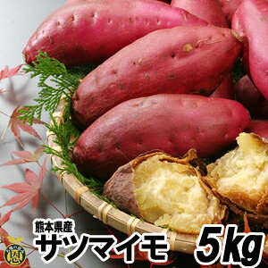 ܂@5kgyzF{Y@Â@Tc}C@Ï