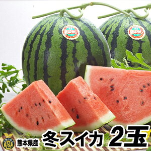 ~XCJ2ʁyzF{Y   Z@Mtg