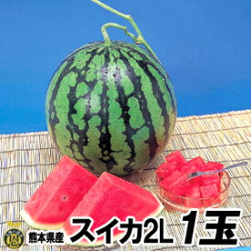スイカ　2Lサイズ 1玉（約7kg）【送料無料】熊本県産　西瓜
