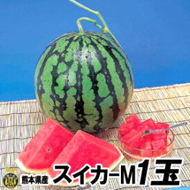 スイカ　Mサイズ 1玉（約5kg）【送料無料】熊本県産　西瓜