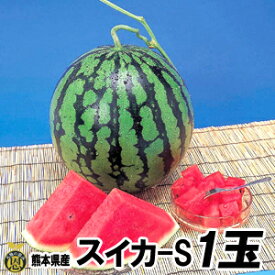 スイカ　Sサイズ 1玉（約4kg）【送料無料】熊本県産　西瓜