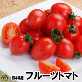 フルーツトマト　1.5kg【送料無料】熊本県産　トマト　ギフト