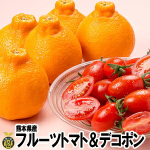 y12{蔭Jnzt[cg}g1.2kgEfR|4-5yzF{Y