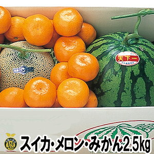 XCJ1ʁE}XN1ʁE݂2.5kgyzF{Y@Z@@@ΕMtg@