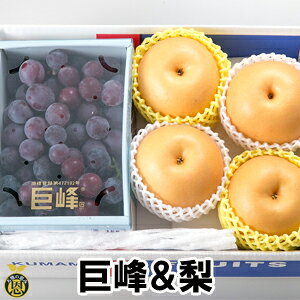 900g4-5ʁyzi@Mtg@Ԃǂ@@l