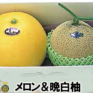 y12{蔭Jnz}XN1ʁEӔM1ʁyzF{Y@@΂؂@ @Mtg