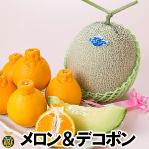 y12{蔭Jnz}XN1ʁEfR|3-4yzF{Y@@fR|@@Mtg