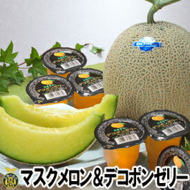マスクメロン＆デコポンゼリー【送料無料】熊本県産　高級メロン　柑橘　ゼリー
