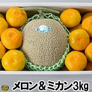 }XN1ʁE݂3kgyzF{Y @݂@p@Mtg