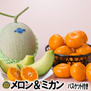 ݂1.7kgioXPbgtjyzF{Y@@n@ĕt