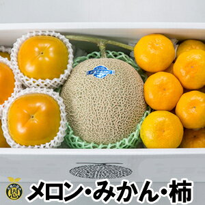 ݂1.5kg`4`6ʁyzF{@@@`@l@Ε@Mtg