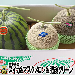 高級 メロン その他のフルーツの人気商品 通販 価格比較 価格 Com