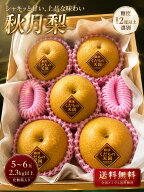 【 秋月梨 / 5～6玉 2.3kg以上 】 熊本 復興支援 熊本産 梨 あきづき 熊本 箱売り あきづき 熊本地震 熊…