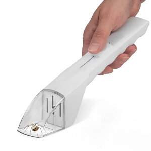 Zhejia Lb`[  蓮 L^Cv Jo[t JV SLu nG ߊl Ў葀 G炸ɕ߂܂ qp ώ@p OΉ