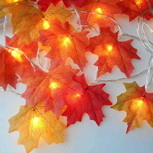 IFEND ハロウィン 飾り 装飾 LED かぼちゃライト ソーラー充電式 30LED電球 6m ハロウィン 飾りライト ストリングスライト パンプキンライト 囲気作り DIY 装飾 屋外 室内 照明飾り