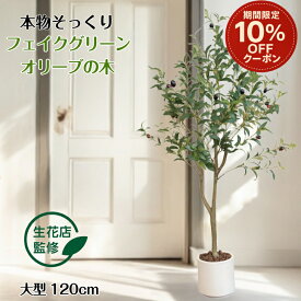 ＼10%offクーポン 7/11まで／ 【生花店監修】 フェイクグリーン オリーブ オリーブの木 リアル 人工観葉植物 観葉植物 フェイク 大型 造花 120cm インテリア 室内 オフィス おしゃれ 装飾 平和の象徴の木 白鉢 敬老の日 ギフト Kugusa ＼レビュー特典あり／