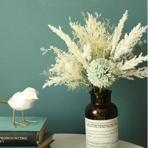  VNt[ ԑ hCt[  tFCN u[P A[eBtBVt[ CeA   OB Be EGfBOu[P  z[ Kugusa