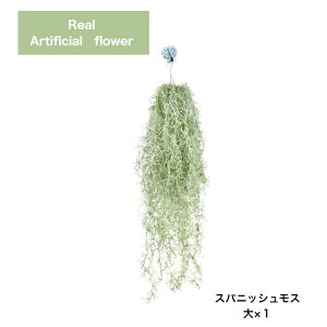 yԓXďCz GA[vc XpjbVX  tFCN O[ ݂艺 Ǌ|  GAvc CeAO[ lHA EXlICfX   A[gO[ 