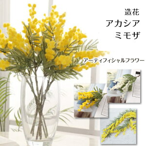 ~U AJVA  A[eBtBV t[ }} t 킢 uC_   CeA tFCN t[ VNt[  EGfBO fBXvC K[h 